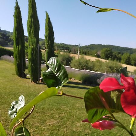 Suite Assisi Exteriér fotografie